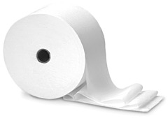 Hardwound Roll Paper Towels